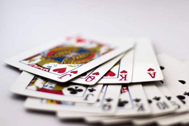 shio togel 2024 Live Round Marker